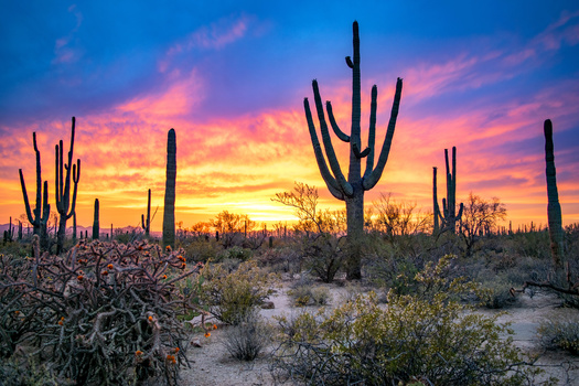 Sunset brings out the brilliant colors of the Arizona desert at Saguaro National Park near Tucson, part of the millions of acres of public lands across the state. (Nate Hovee/Adobe Stock)