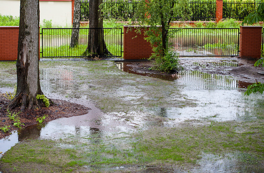 Each year, more North Carolinians are affected by property damage and disruptions from flooding. (Adobe Stock)