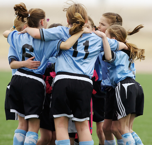 Maine is one of 20 states that have introduced bills aimed at banning transgender students from participating in school sports. (Michael Chamberlin/Adobe Stock)