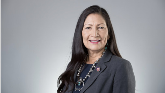 In addition to her historic role in President Joe Biden's Cabinet, Rep. Deb Haaland, D-N.M., made history in being one of the first two Native American women elected to Congress in 2018. (House.gov)