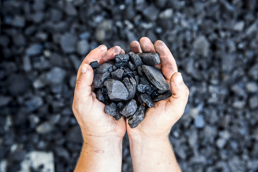 Environmental groups say they're not opposed to cleaner technology for coal plants, but question long-term investments for an industry that faces growth issues. (Adobe Stock)