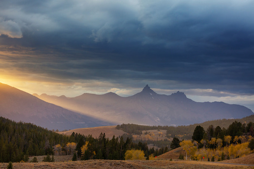 An initiative legalizing recreational marijuana in Montana directed nearly half of the tax revenue collected to public lands. (Galyna Andrushko/Adobe Stock)