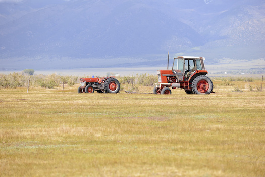 The latest COVID-19 relief package includes $4 billion in aid to the food supply chain, including direct relief for farmers. (nyker/Adobe Stock)