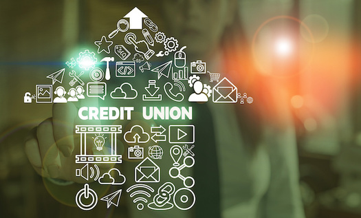 Idaho credit unions provided $119 million in benefits to its members in 2020. (Artur/Adobe Stock)