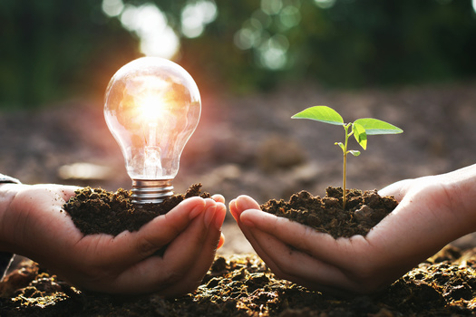 According to the International Energy Agency, electricity generation from renewables will increase by 50% in the next five years. Student leaders in Florida hope their universities will commit to using them in the next two decades. (Adobe Stock)