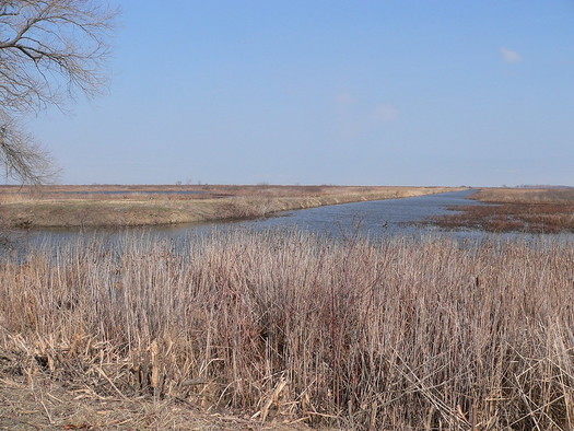 H2Ohio is funding a project to reconnect 173 acres of Magee Marsh to Lake Erie. (Dakota Calloway/Flickr)