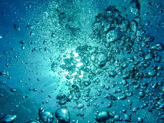 The Florida Dept. of Environmental Protection is partnering with Tampa Bay area governments and the Tampa Bay Estuary Program to monitor water quality at locations affected by the Piney Point breach. (Pexels)  