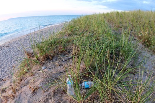Water bottles and other plastic pollution along Lake Michigan can break down into tiny particles that hurt wildlife. (daveynin/Flickr)