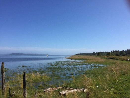 Supporters of the seabed mining ban say the practice would hurt sensitive habitats on Washington's coast. (Ferrous Bller/Flickr)