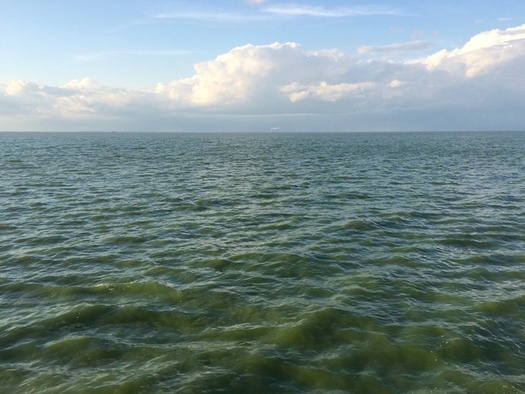 Toxic algae blooms driven by excess nutrients give the waters of Lake Erie a greenish hue. (Adobe Stock)