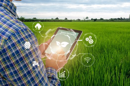 Agriculture observers say digital connectivity could be an emerging force in the coming years as farmers try to become more efficient and avoid disruptions to their work. (Adobe Stock)