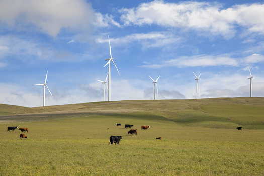 Washington state lawmakers passed measures that move it closer to a clean energy future this session. (jpldesigns/Adobe Stock)