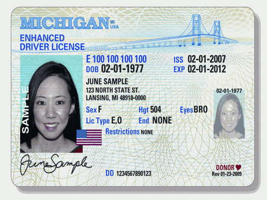 Lawmakers have introduced bills to grant access to ID cards and driver's licenses to undocumented immigrants multiple times in recent years, but the proposals have not been granted a hearing or vote. (Michigan.gov)