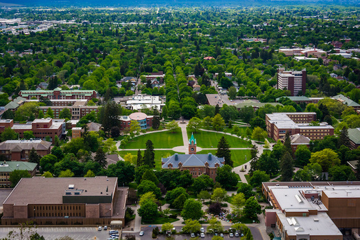 A law allowing concealed carry of firearms on Montana colleges and universities is set to go into effect on June 1. (jonbilous/Adobe Stock)