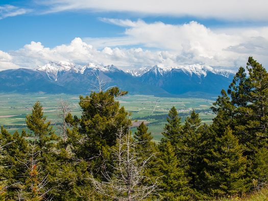 Conservation groups call a bill securing funding for public lands from the recreational marijuana program a victory for the 2021 legislative session. (Frank Jr/Adode Stock)