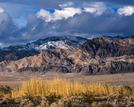 President Franklin D. Roosevelt created the Desert National Wildlife Refuge in 1936 to protect  bighorn sheep. (Kurt Kuznicki)