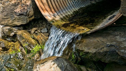 Illinois has a goal of reducing the nitrogen and phosphorus going into its waterways by 45% by 2025. But conservation groups say the state is far behind in reaching that goal, and needs more funding for these efforts. (Adobe Stock)