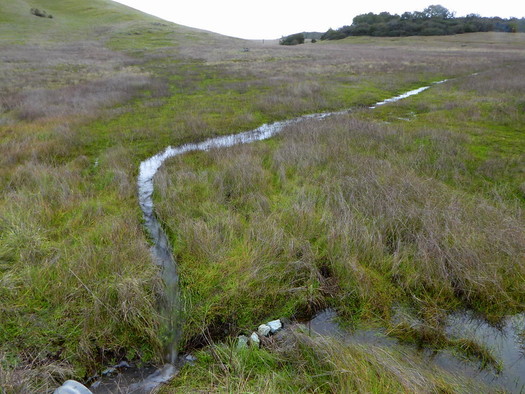 Ephemeral streams are considered the backbone of a watershed. (bgwashburn/Flickr)