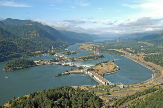 People are advised not to eat non-migratory fish within a mile upstream of Bonneville Dam, because of contamination from PCBs. (salmonrecovery/Flickr)
