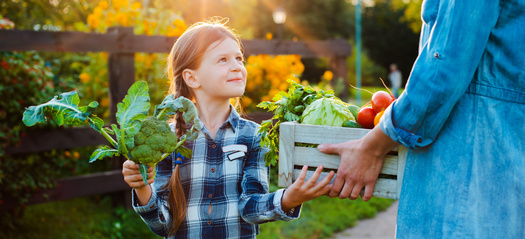 The USDA projects that $1 billion in additional SNAP benefits would lead to an increase of $1.54 billion in the nation's Gross Domestic Product. (Adobe Stock)