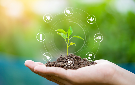 More sustainable agriculture practices have several benefits, including less water usage. (Worawut/Adobe Stock)