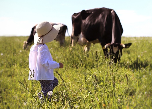 OEFFA's 2021 Sustainable Food and Farm Tour will feature an organic dairy pasture walk. (Adobe Stock)