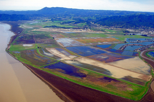 Conservation groups would like more funding to restore wetlands at the site of the former Hamilton Air Force Base in Novato. (U.S. Army Corps of Engineers)