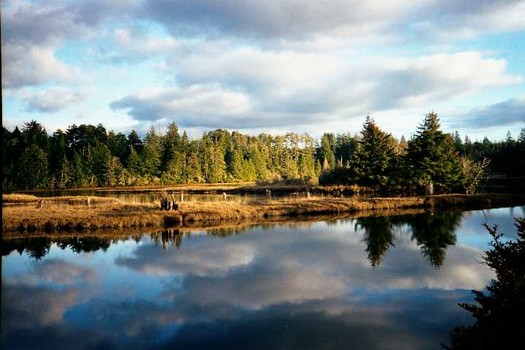 The South Slough National Estuarine Research Reserve near Coos Bay supports 65 jobs. (Werewombat/Wikimedia Commons)