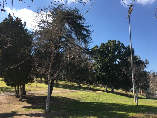 Local groups like the Sal Castro Foundation are pressing for federal recognition of Hazard Park in East Los Angeles, for its role in the 1968 student protests. (Manuel Galaviz)