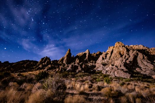 The Avi Kwa Ame area, also known as Spirit Mountain, is important habitat for the golden eagle and the desert tortoise and is home to the largest Joshua tree forest in the country. (Justin McAffee)