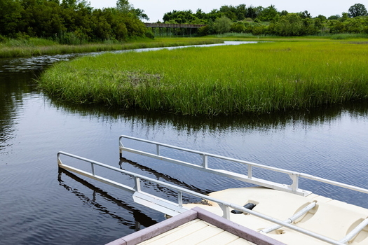 Virginia's new Coastal Adaptation and Resilience Master Plan is expected to use nature-based solutions, like wetlands restoration, to help absorb the impact of severe storms and flooding. (Adobe Stock)