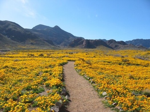 As part of Latino Conservation Week, July 17-25, sites that embody the architectural, cultural and deep historical roots of the Latino community have been identified for preservation, including the Castner Range in Texas. (digie.org)