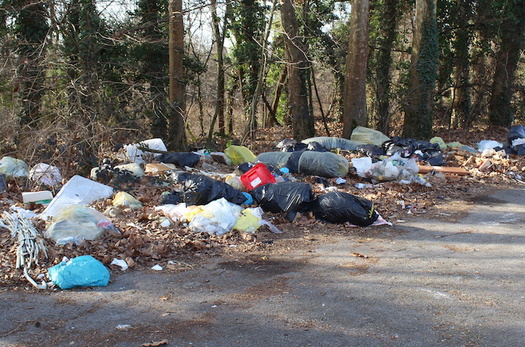 There are an estimated 50 billion pieces of litter on roadways nationwide, according to Keep America Beautiful. (Adobe Stock)