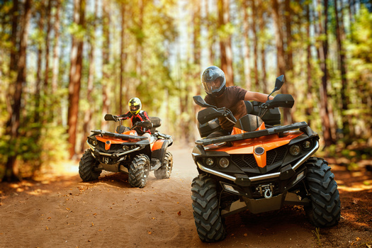 ATV environmental impacts include noise pollution, damage to vegetation, soil degradation, and disturbance to wildlife. (Adobe Stock)