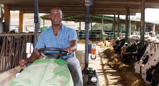 According to the U.S. Department of Agriculture, Black farmers own just 0.52% of the nation's farmland. (Adobe Stock)