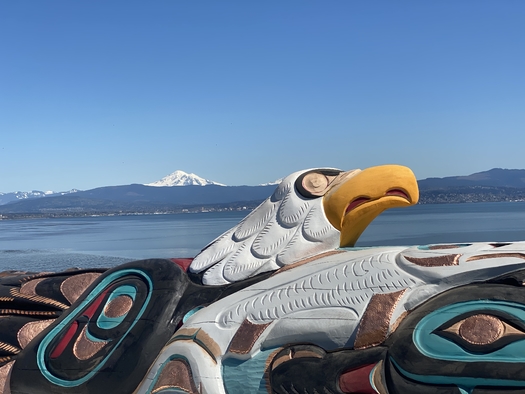 A symbolic 5,000-pound totem pole, hand-carved by Jewell James of the Lummi Nation in Washington state, will be at a blessing ceremony Saturday at Bears Ears National Monument in Utah. (#RedRoadtoDC)