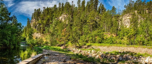 Spearfish Creek in Black Hills National Forest. (Adobe Stock)