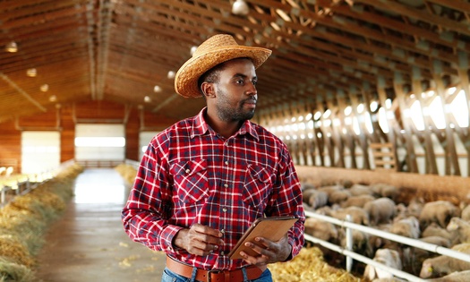 Social isolation, financial challenges and emotional fatigue are among the stressors faced by people just starting out in agriculture. (Adobe Stock)