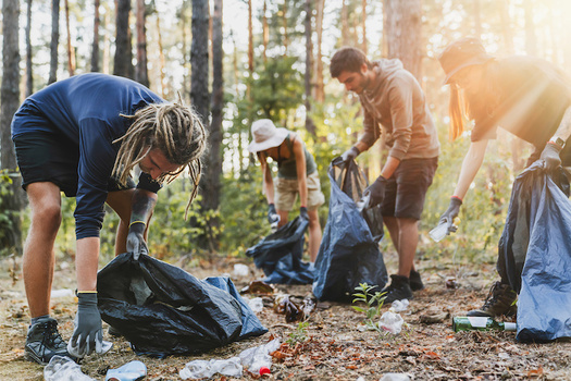 While 19.9% of litter on land comes from unsecured items in the back of trucks or trash receptacles, the vast majority originates intentionally. (Adobe Stock)