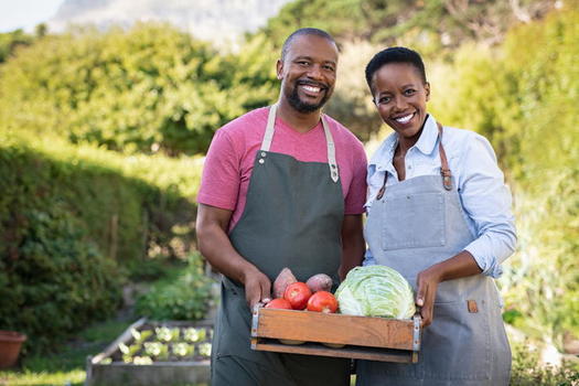 Black farmland ownership peaked in 1910 at 16 to 19 million acres, according to the USDA's Census of Agriculture. A century later, 90% of that land had been lost. (Adobe Stock)