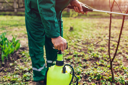 The U.S. Environmental Protection Agency says it will stop the use of the pesticide chlorpyrifos on all food, citing specific risks to children and farmworkers. (Adobe Stock)
