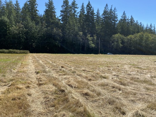 Puget Sound Agrarian Commons' property on Whidbey Island is about an hour north of Seattle. (Northwest Meadowscapes)