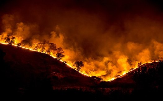 The climate resilience package includes $1.5 billion for measures to better defend the state against wildfires. (Peter Buschmann/U.S. Forest Service)