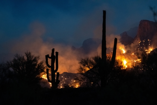 The Bighorn Fire in the Catalina Mountains near Tucson was one of several climate-driven disasters, costing Arizona more than $4 billion in 2020. (Tonia/Adobe Stock)
