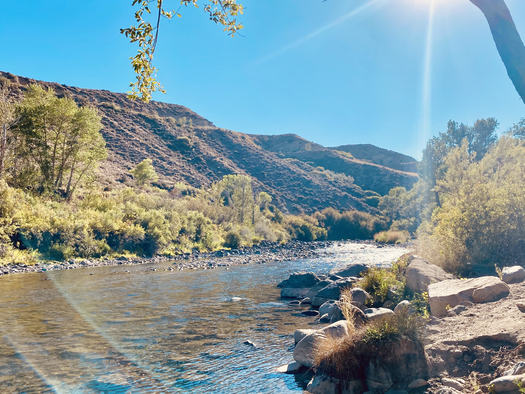 The Truckee River is considered exceptional for its water quality and importance to wildlife. (Lauren Kuhlman)
