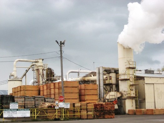 Electricity use is the second-largest source of carbon emissions in Oregon. (Beyond Toxics)