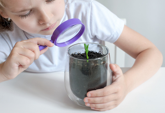 Beginning in 2022, Nebraska's Department of Education will begin offering farm-to-school producer training in various regions of the state. (Adobe Stock)