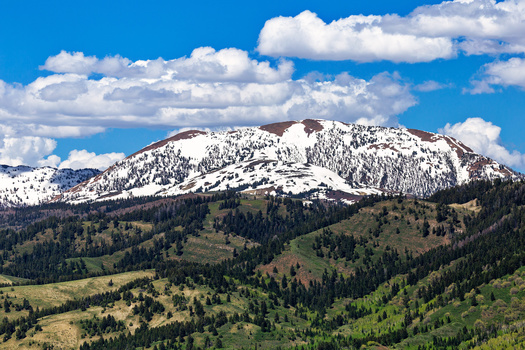 The Bridger-Teton National Forest occupies the traditional lands of the Shoshone-Bannock, Eastern Shoshone and Cheyenne people. (Adobe Stock)