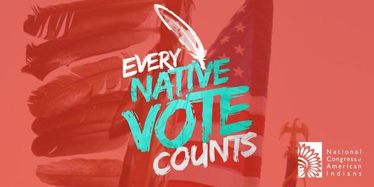 The Native American Voting Rights Act, recently introduced in Congress, would give tribes a say in where and how many polling places are located on tribal lands. (idigenousaction.org)