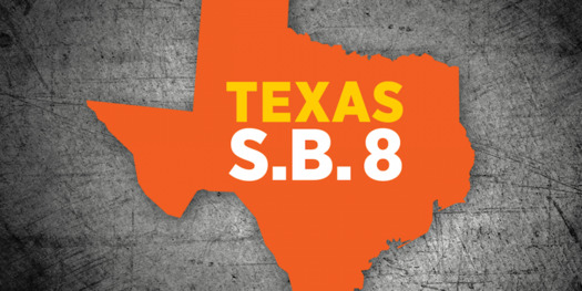 The U.S. Supreme Court will hear oral arguments on Dec. 1 in a Mississippi case that could overturn the decades-old abortion protections established under Roe v. Wade. (guttmacher.org)